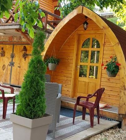 Vila Jelena - Bungalov Crni Vrh Zewnętrze zdjęcie