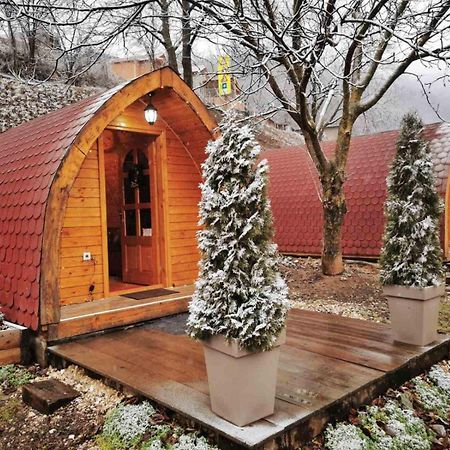 Vila Jelena - Bungalov Crni Vrh Zewnętrze zdjęcie