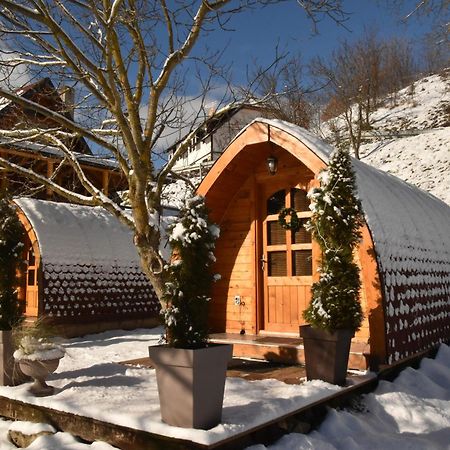 Vila Jelena - Bungalov Crni Vrh Pokój zdjęcie