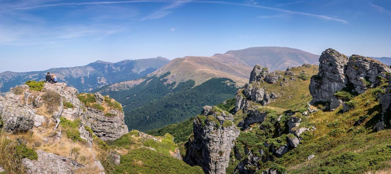 Vila Jelena - Bungalov Crni Vrh Zewnętrze zdjęcie