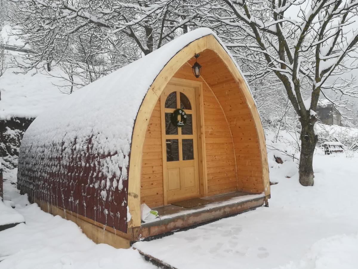 Vila Jelena - Bungalov Crni Vrh Zewnętrze zdjęcie