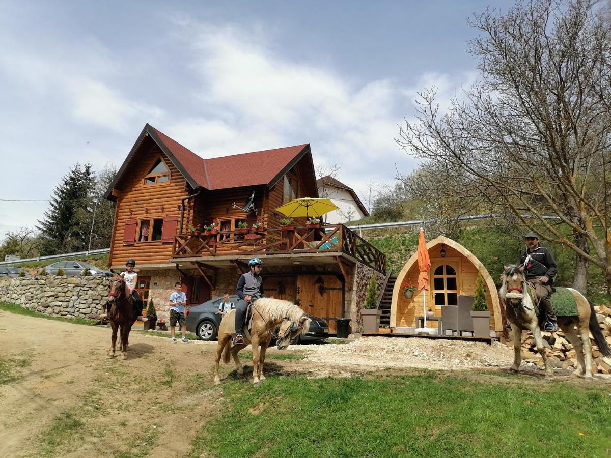 Vila Jelena - Bungalov Crni Vrh Zewnętrze zdjęcie