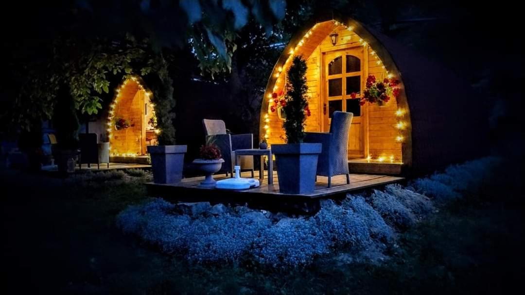 Vila Jelena - Bungalov Crni Vrh Zewnętrze zdjęcie